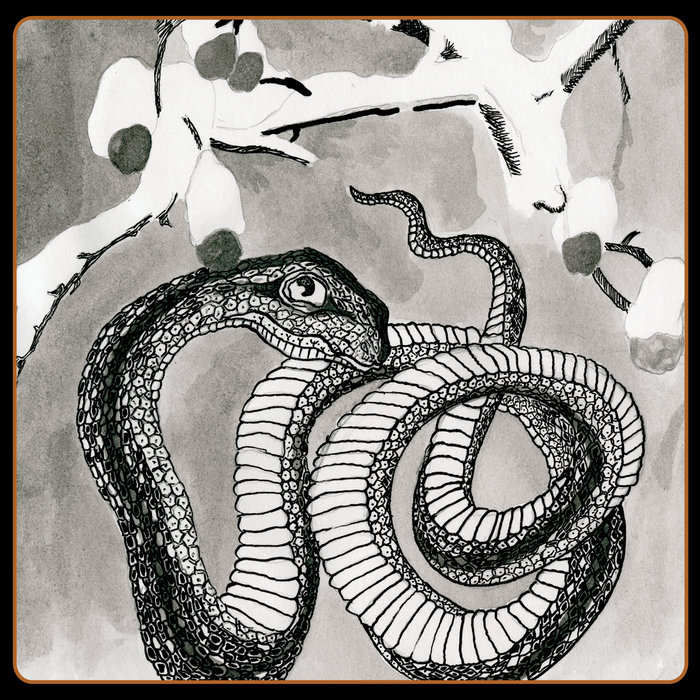 Serpent Umbrella cover art
