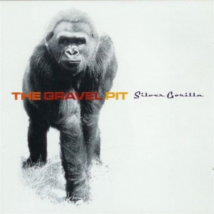 Silver Gorilla cover art